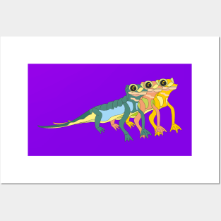 lizards Posters and Art